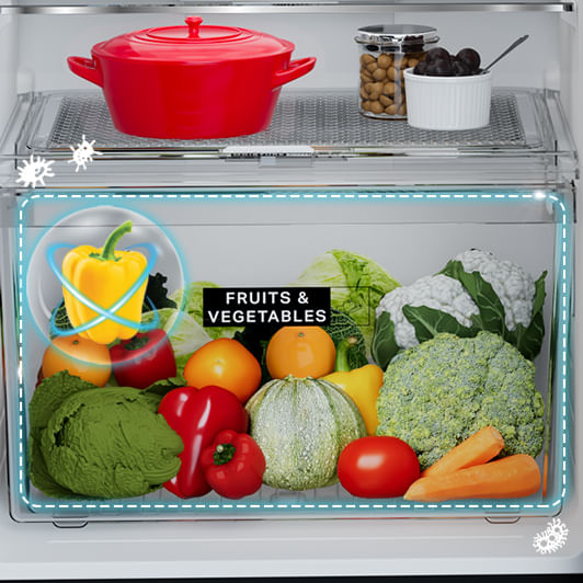 Whirlpool Neofresh 235L 2 Star Frost Free Double-Door Refrigerator